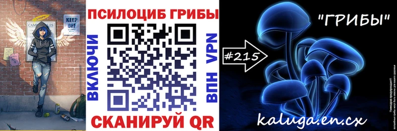 Псилоцибиновые грибы мицелий хочу Никольск
