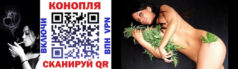 Конопля SATIVA & INDICA  МЕГА как зайти  Никольск 